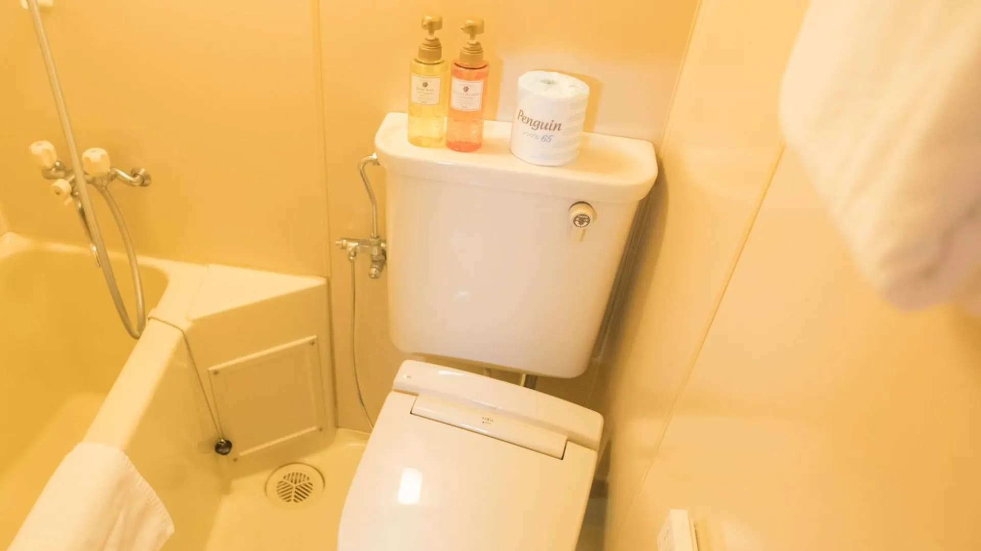 Flexstay Inn Kawasaki Kaizuka Hotel Kawasaki (Kanagawa)
